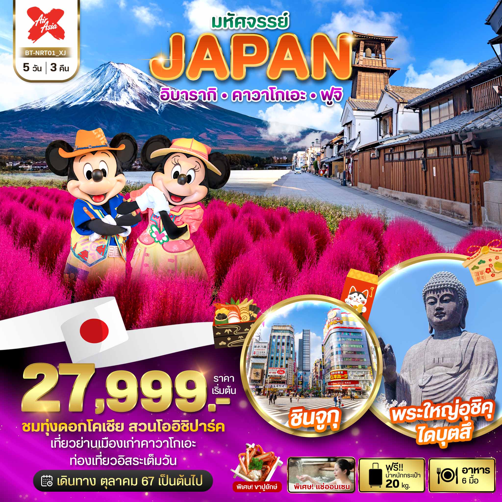 ทัวร์ญี่ปุ่น JAPAN อิบารากิ คาวาโกเอะ ฟูจิ 5วัน 3คืน (XJ)