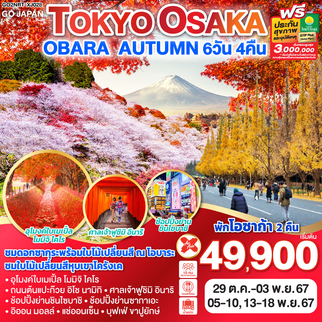 ทัวร์ญี่ปุ่น TOKYO OSAKA OBARA AUTUMN 6วัน 4คืน (XJ)