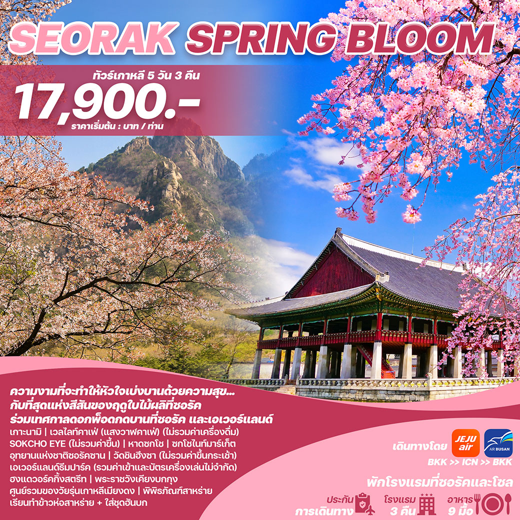 ทัวร์เกาหลี SEORAK SPRING BLOOM 5วัน 3คืน (7C+BX)